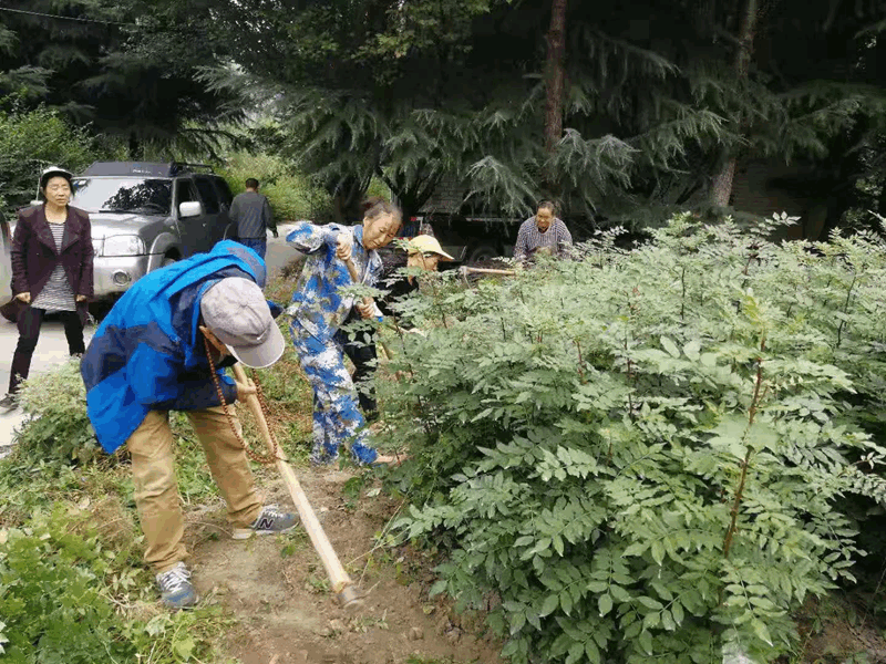 圖片1_副本 圖片1_副本