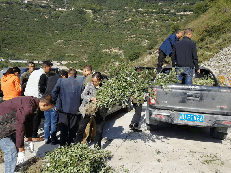 圖片3_副本 圖片3_副本